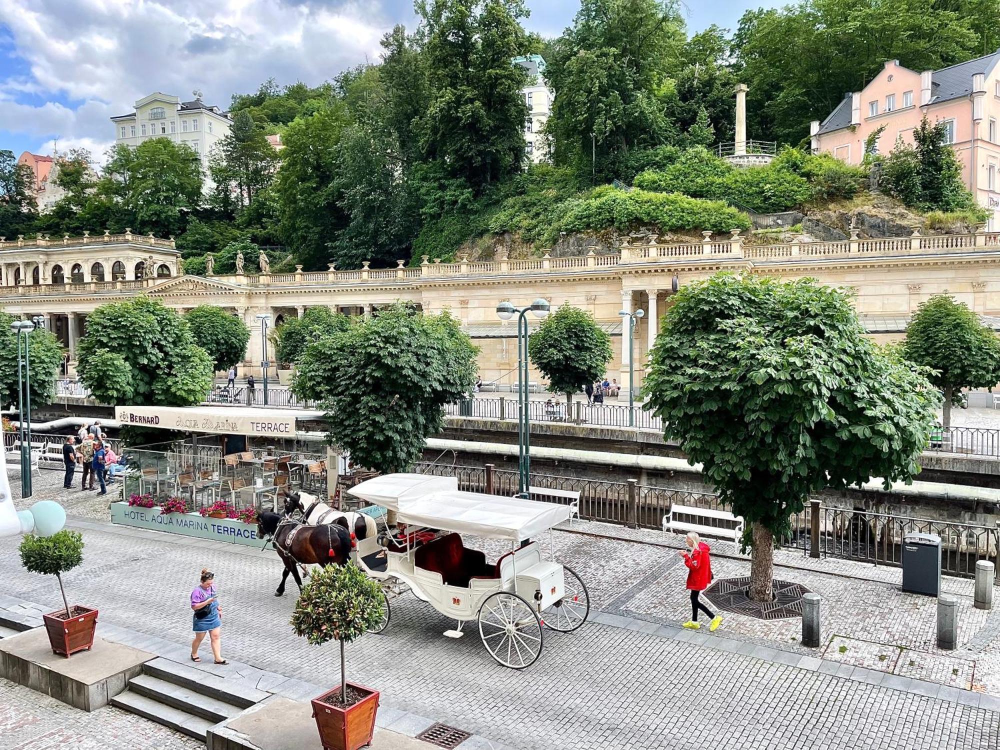 Carlsbad Grand Studio Michal Karlovy Vary Exterior photo